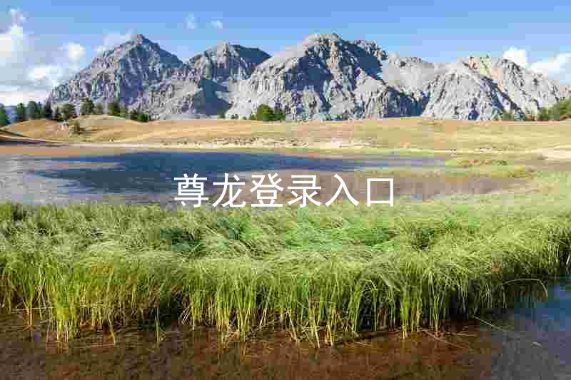 尊龙登录入口