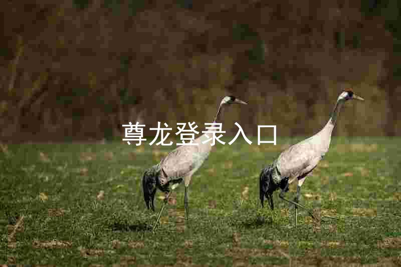 尊龙登录入口