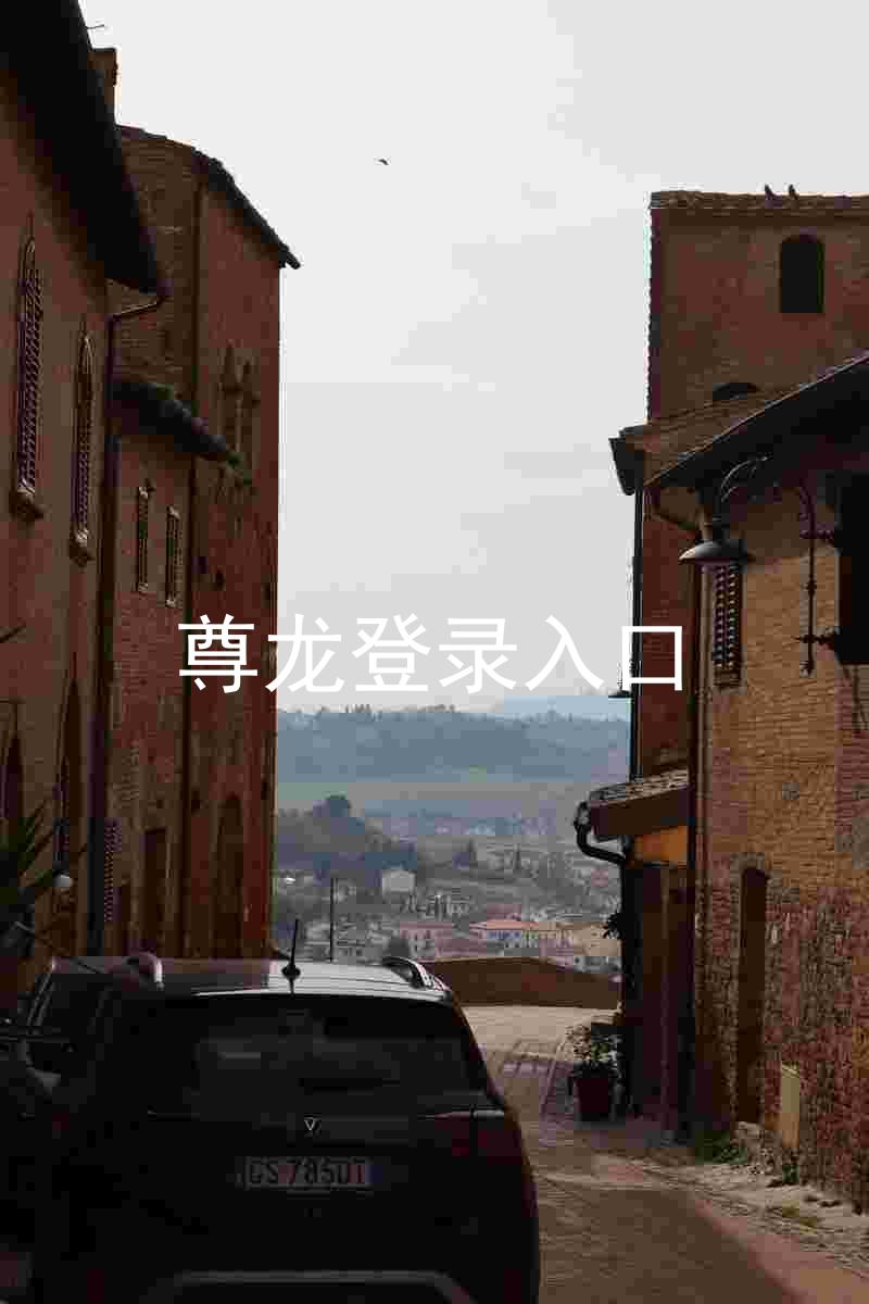 尊龙登录入口