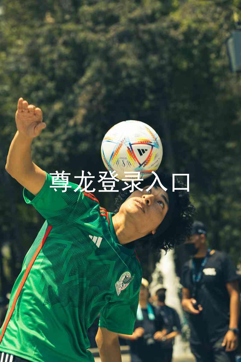 尊龙登录入口