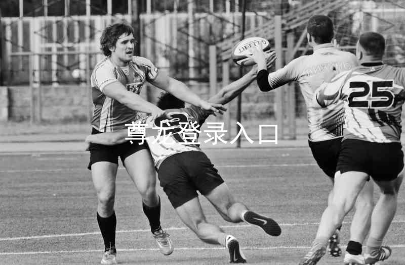 尊龙登录入口