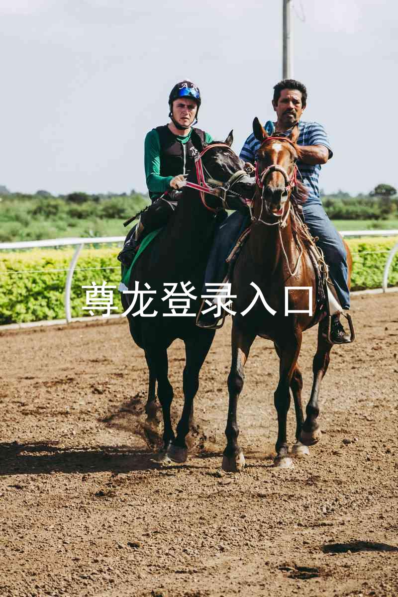 尊龙登录入口